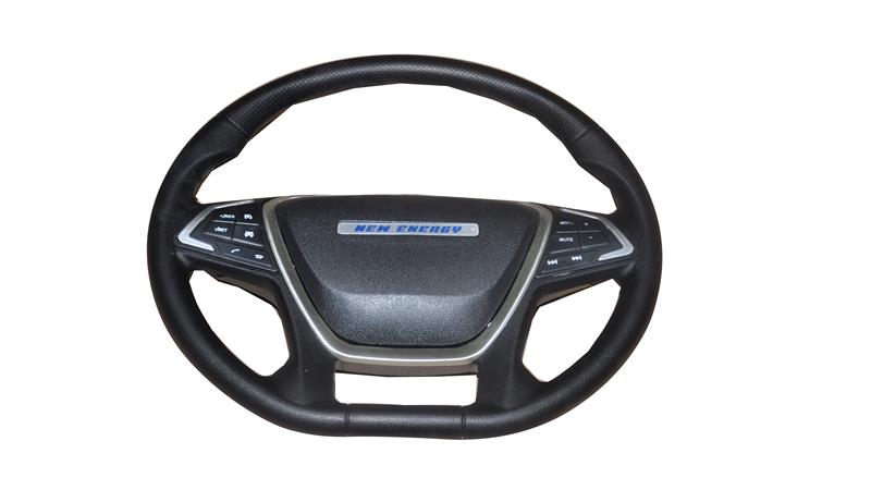 DİREKSİYON (E-KAMYONET)